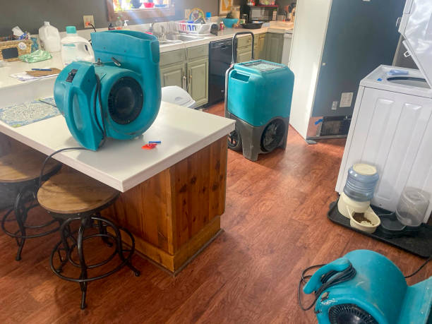 Water damage restoration insurance claims in East Palo Alto, CA