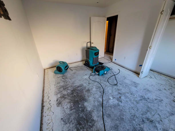 Best Water damage restoration near me  in East Palo Alto, CA