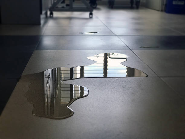 Best Carpet water damage restoration  in East Palo Alto, CA