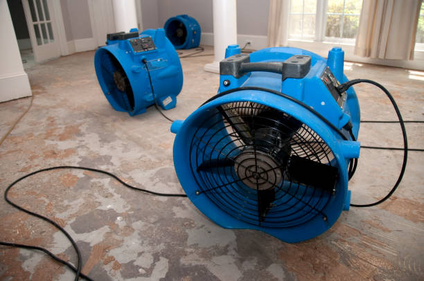 Best Commercial water damage restoration  in East Palo Alto, CA