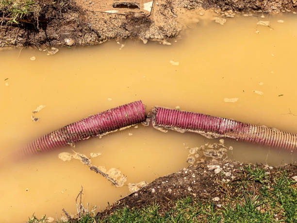 Best Local water damage restoration  in East Palo Alto, CA